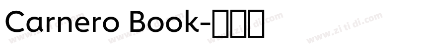 Carnero Book字体转换